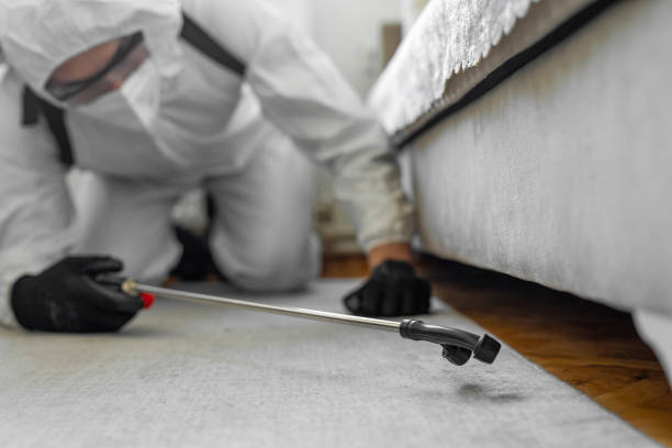 Professional Pest Control technician working in Pensacola Station, FL