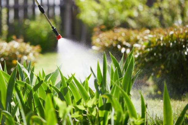 24/7 Emergency Termite Control experts in Pensacola Station, FL