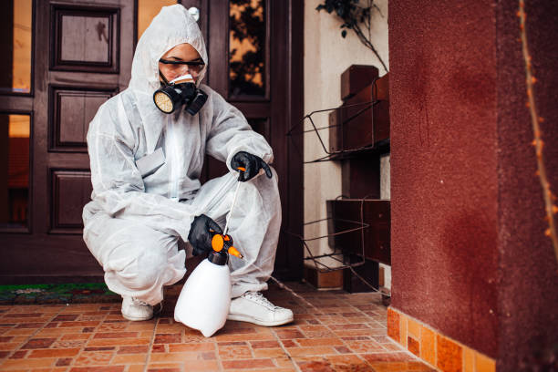 Reliable Termite Control contractor in Pensacola Station, FL by Nex Pest Control
